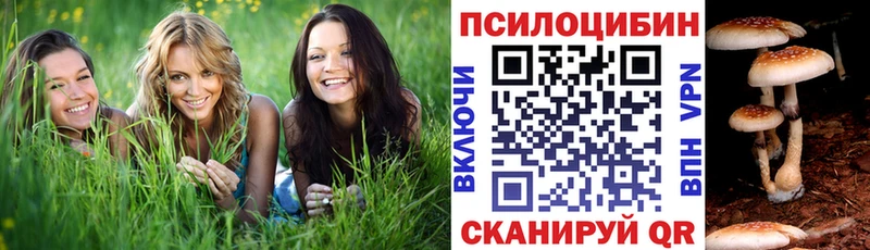 где купить наркоту  Копейск  Галлюциногенные грибы мухоморы 